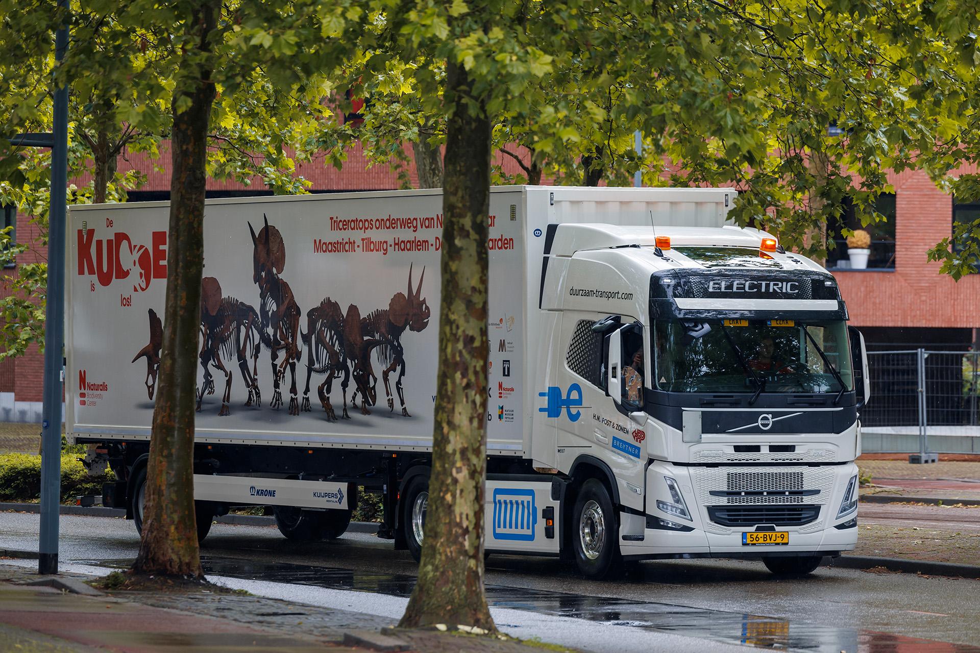 Transport Schedel Triceratops - foto: Jean-Pierre Geussens Centre Ceramique